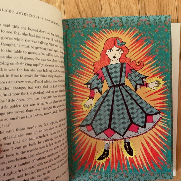 Alice’s Adventures in Wonderland & Through the Looking Glass - Illustrated - Picture 4 of 14